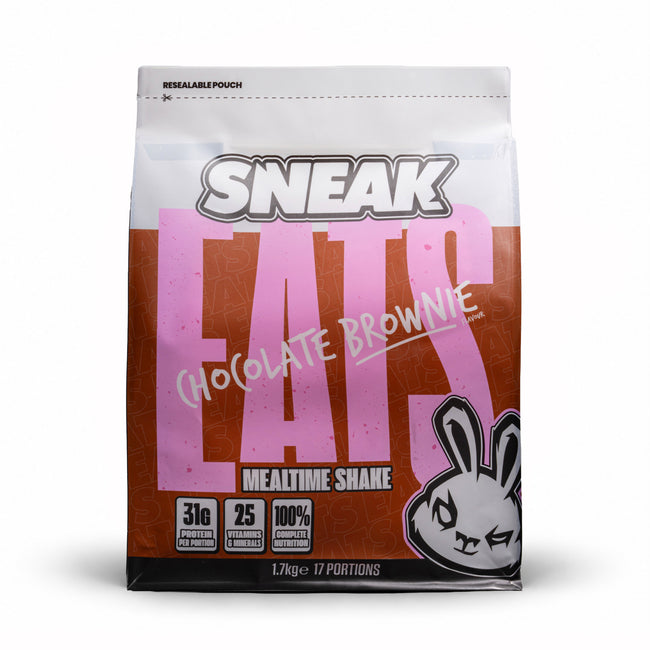 SNEAK EATS CHOCOLATE BROWNIE
