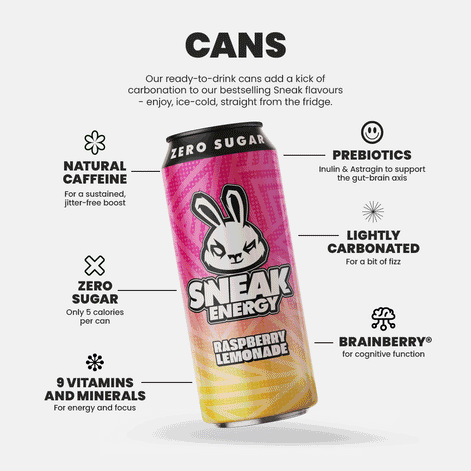 Sneak Energy 12 Pack Cans 500ml