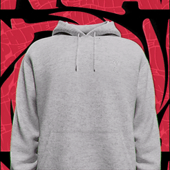 Grey sneak hoodie